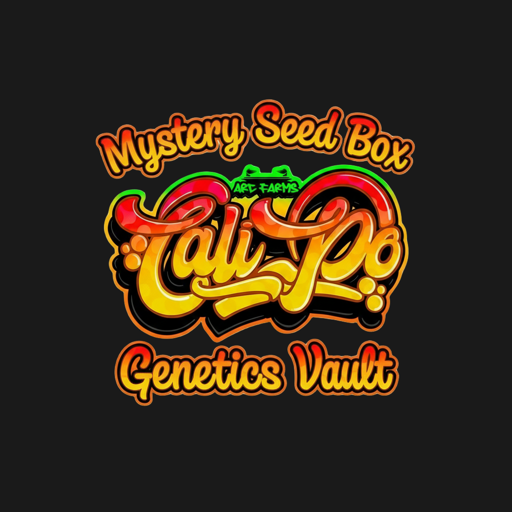 Mystery Seed Box
